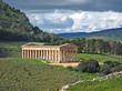Segesta Segesta