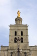 Cathédrale Notre-Dame des Doms à Avignon (France)