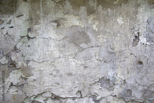Photo: aging wall aging wall