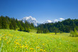 Photo: alpen panorama mit wiese im vordergrund alpen panorama mit wiese im vordergrund