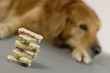 Hundekuchen-Stapel mit Hund im Hintergrund