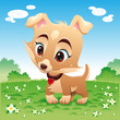 Baby dog in the meadow Baby dog in the meadow