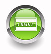 Credit card glossy icon