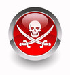 Pirates glossy icon