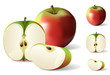 Fresh Apple Collection
