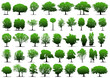 Vector trees