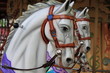 Carrousel Carrousel