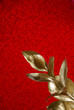 Gold branch on red background