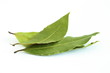 Bay leaves