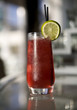 Summer Cocktail