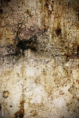 Photo: Grunge background Grunge background