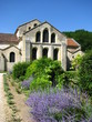 Le jardin de l'abbaye de Fontenay (Bourgogne)