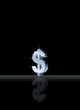 Silver Dollar