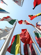 International