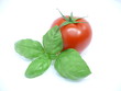 tomate et basilic 10