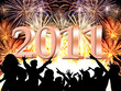 Party 2011