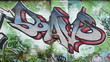 graffiti 231