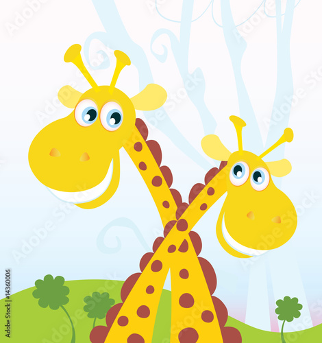 Two giraffes. Funny african