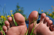 Foto: fuß füße sonne natur erholung fuß füße sonne natur erholung