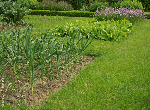 Photo: potager potager