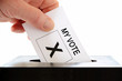 Voter Voter