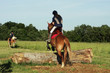 Images : Cross à cheval