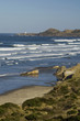 Newport