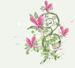 Orchids