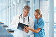 Two doctors standing together and looking in the file