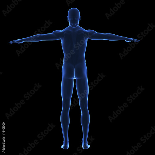 Illustration: X ray human body from behind X ray human body from behind