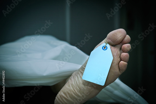 Photo: Terminal Athlete's Foot Terminal Athlete's Foot