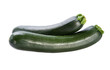 Two green squash on white background Two green squash on white background