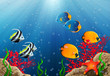 Aquarium