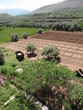 agriculture traditionnelle