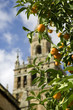 Catedral de Sevilla