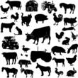 Farm animals collage (vector)