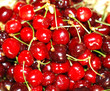 Photo: Fresh beautiful cherries Fresh beautiful cherries