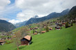 Bergdorf Alpen