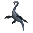 Elasmosaurus Elasmosaurus