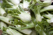 fennel