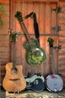 la cabane du bluesman