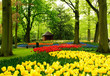 Keukenhof flower garden