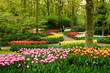 Keukenhof flower garden