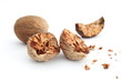 Photo en ligne au meilleur prix Nutmeg over white background