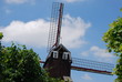 Moulin des Flandres - Boeschepe