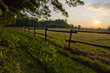 Pferdekoppel im Abendlicht