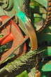 lawnmower parts close-up