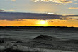 goldenes gras in namibia