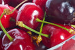 sweet fresh cherry