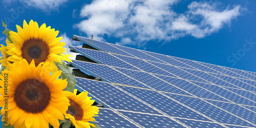 Photo: Sonnenenergie / Solar und Sonnenblume Sonnenenergie / Solar und Sonnenblume